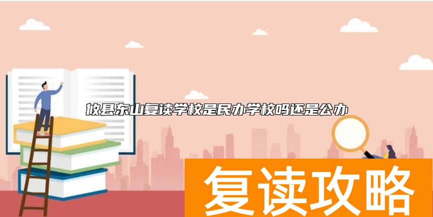 攸县东山复读学校是民办学校吗还是公办